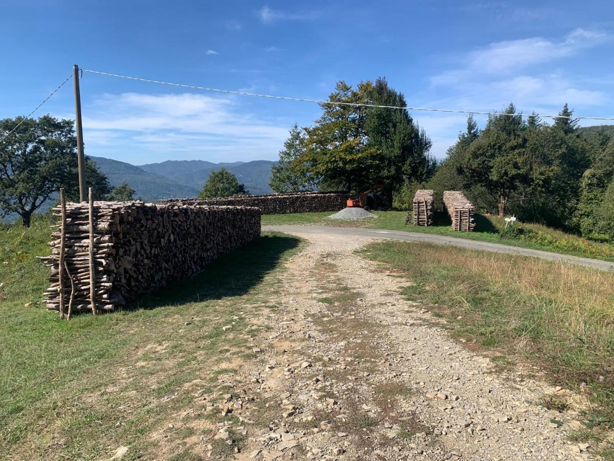 B & B Giu & Dany Bruscoli Exterior photo